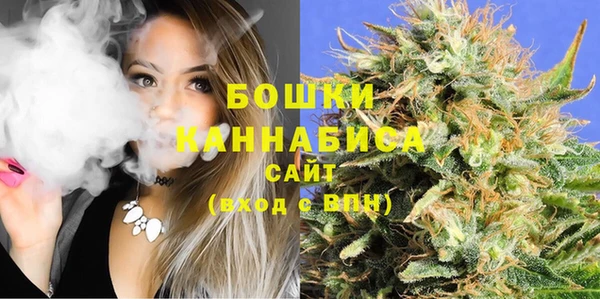 молекула духа Саяногорск