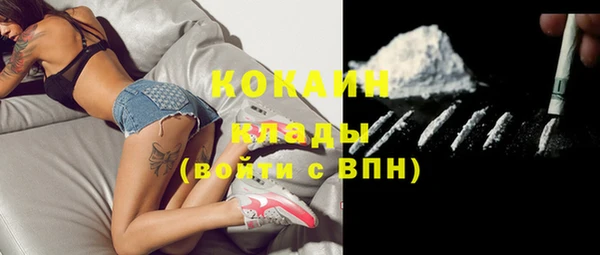 соль ск Семёнов