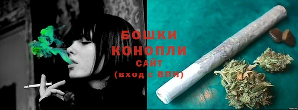 молекула духа Саяногорск