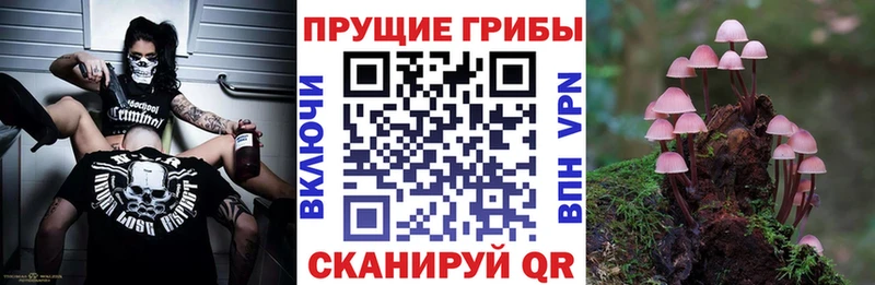 KRAKEN tor  Вытегра  Псилоцибиновые грибы мицелий 